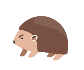 Hedgehog clipart