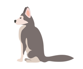 Sitting husky puppy clipart