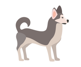 Husky puppy clipart