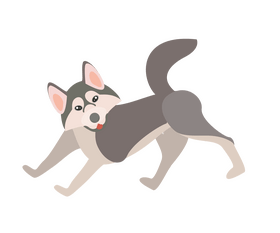 Running husky dog clipart