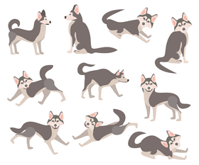 Husky dogs, free puppies vector