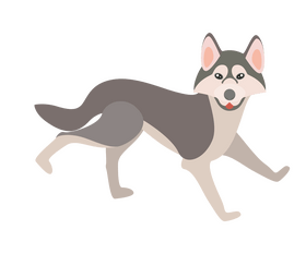 Husky dog illustration clipart