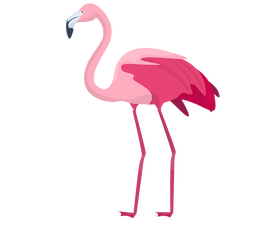Flamingo cartoon clipart