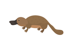 Platypus cartoon clipart