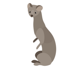 Least weasel clipart