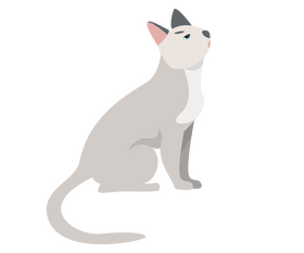 Light gray cat illustration clipart