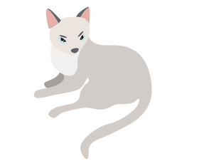 Light gray cat clipart