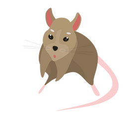 Mouse illustration clipart