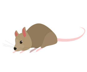 Cartoon mouse clipart