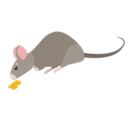 Mouse eating cheese clipart