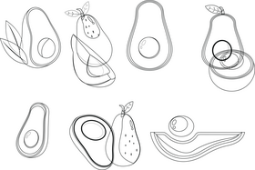 Avocado black and white vector
