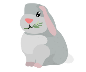 Bunny cartoon clipart
