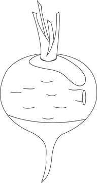 Beet black and white clipart