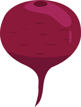 Beet clipart