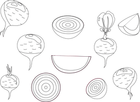 Beet black and white vector