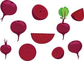 Beet vector