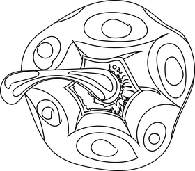 Bell Pepper black and white clipart