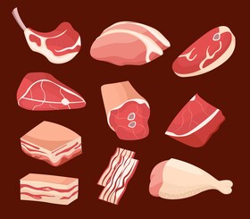 Fresh meat vector