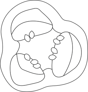 Slice of Bell Pepper black and white clipart