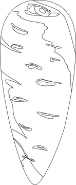 Carrot black and white clipart