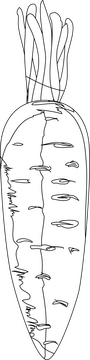 Carrot black and white clipart