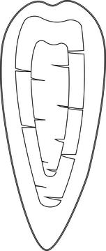 Carrot black and white clipart