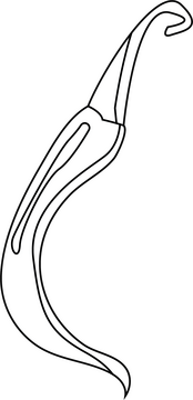 Chili Pepper black and white clipart