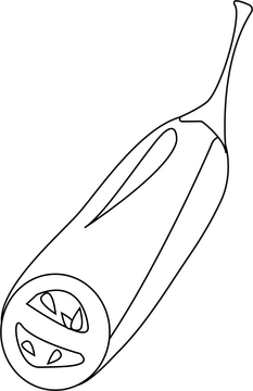 Red Chili Pepper Cut in Half black and white clipart