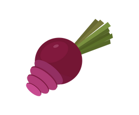 Beet slices clipart