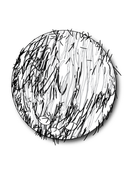 Coconut black and white clipart