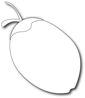 Coconut black and white clipart