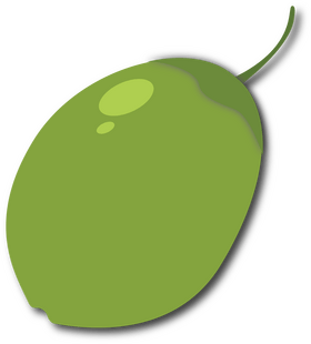 Green Coconut clipart