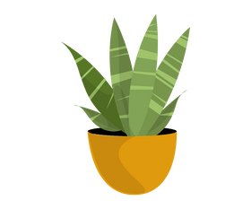 Aloe cactus cartoon clipart