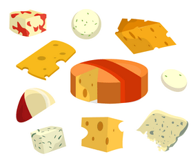Cheese, feta cheese vector