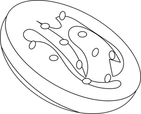 Slice of Eggplant black and white clipart