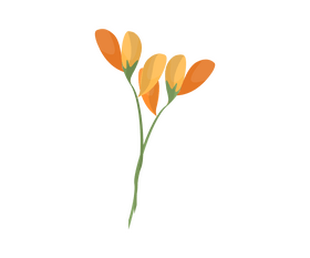 Flower drawing clipart