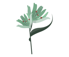 Cartoon flower clipart