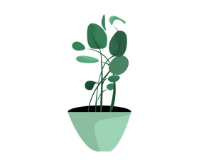 Indoor plant illustration clipart