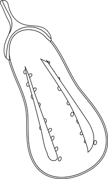 Half Eggplant black and white clipart