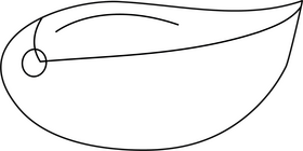 Garlic Clove black and white clipart