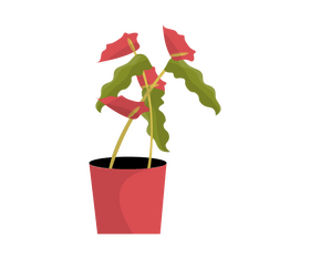 Cartoon houseplant clipart