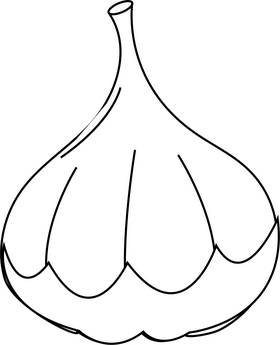 Garlic black and white clipart