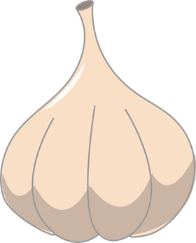 Garlic clipart