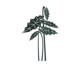 Plant leaves cartoon clipart