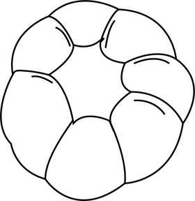 Garlic black and white clipart