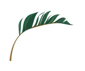 Plant leaf cartoon clipart