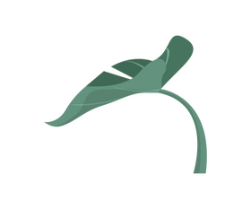 Free monstera leaf clipart