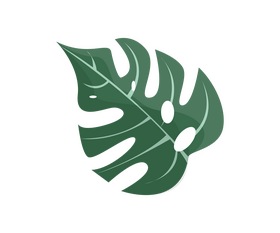 Monstera leaf cartoon clipart