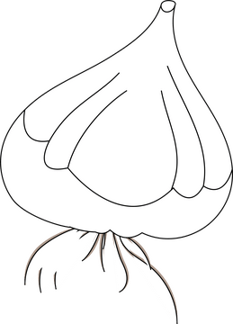 Garlic black and white clipart