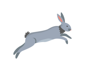 Jumping hare clipart